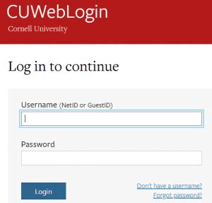 weill cornell employee login|wbg.weill cornell.edu login.